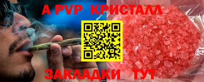 сатива Гатчина