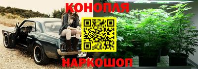 сатива Гатчина